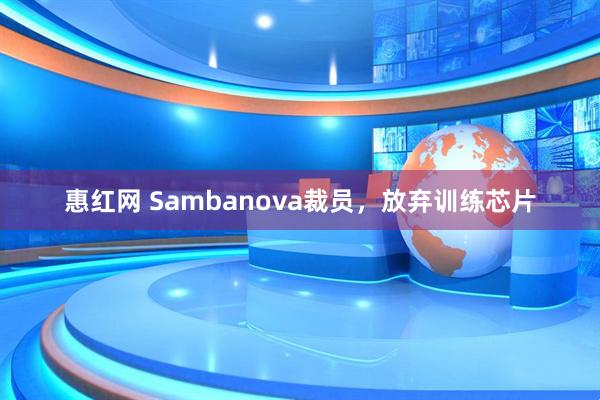 惠红网 Sambanova裁员，放弃训练芯片