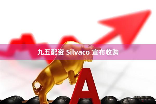 九五配资 Silvaco 宣布收购