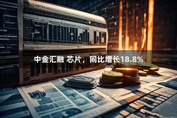 中金汇融 芯片，同比增长18.8%