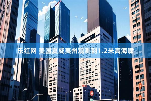 乐红网 美国夏威夷州观测到1.2米高海啸